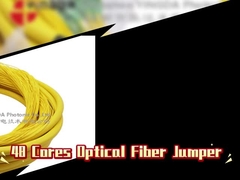 48 คอร์ออปติก ไฟเบอร์ Jumper การกระจาย Patch Cord Fanout กับ LC APC