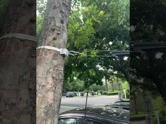 แคลมป์ยึดสายเคเบิลแบบ Dead End สำหรับสาย ADSS ไฟเบอร์ออปติก FTTH ขนาด 8-12 มม.