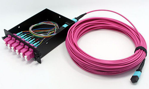 ซื้อ ไฟเบอร์ออปติก MPO MTP Cable 8 ไฟเบอร์ OM4 LSZH Jacket สําหรับเชื่อมต่อเครือข่าย ศูนย์ข้อมูล การผลิตออนไลน์