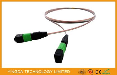 ซื้อ 12 Core Ribbon ไฟเบอร์ Mpo ถึง Mpo Jumper, Mtp / ชายสายไฟเบอร์แบบ Single การผลิตออนไลน์